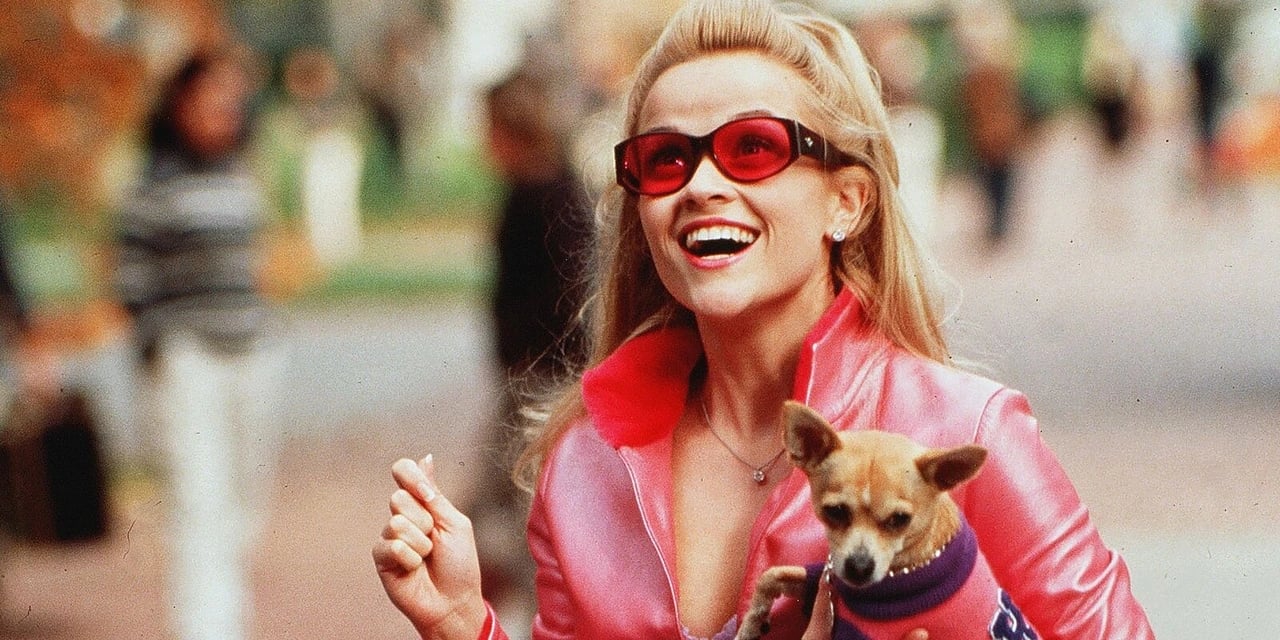 Elle Woods torna sul piccolo schermo: annunciata la serie prequel de La rivincita delle bionde