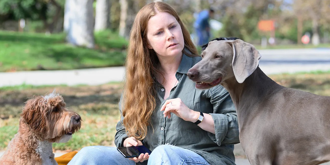 Nightbitch: Prime foto del film di Marielle Heller con Amy Adams