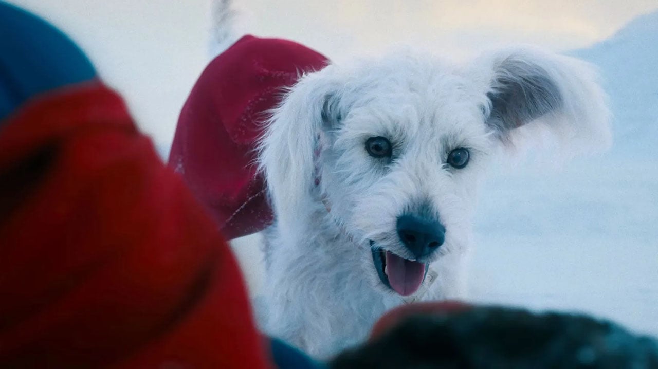 Superman, il trailer spiegato a mia nonna, parte 2: il cane Krypto, i capelli a scodella di Lanterna Verde e gli altri