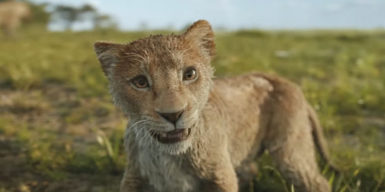 Mufasa: Il Re Leone, ecco la prima clip in italiano