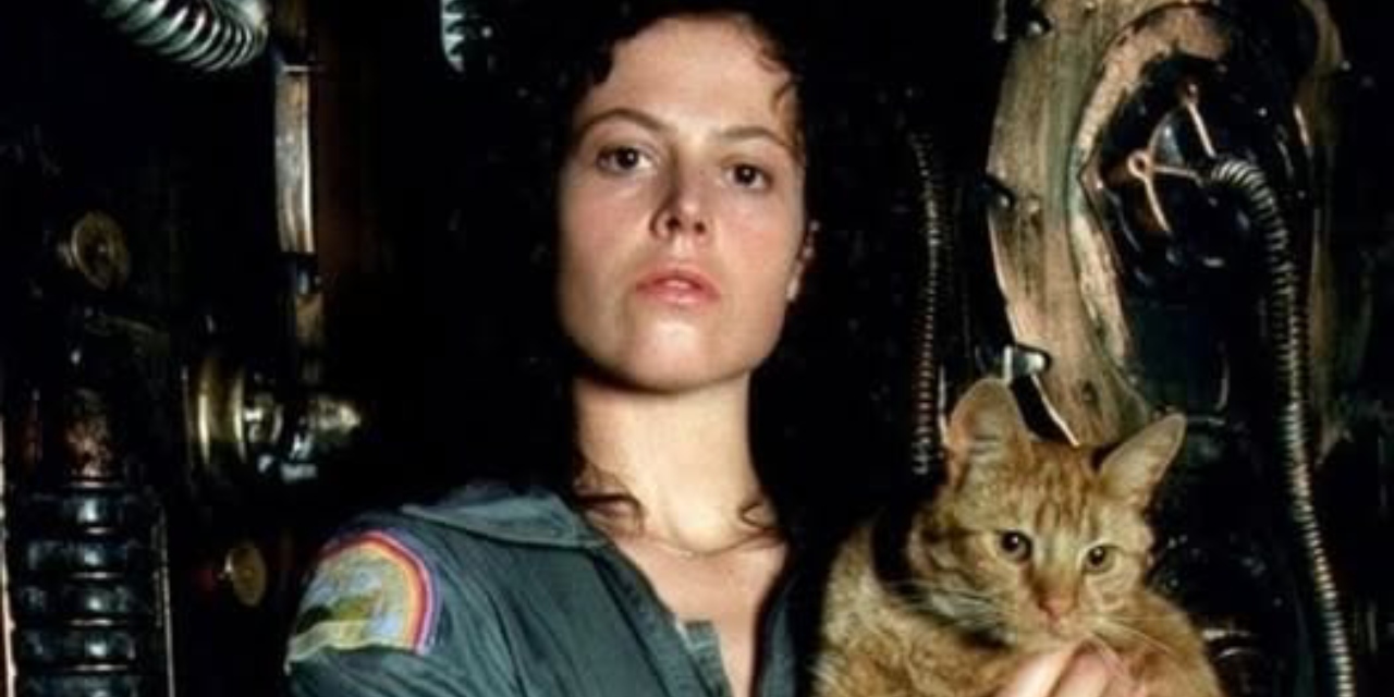 No, nel sequel di Alien: Romulus non ci sarà Sigourney Weaver ringiovanita