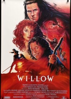 Poster Willow