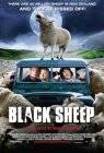 Poster Black Sheep