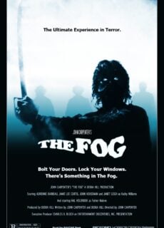 Poster Fog