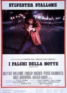 Poster I falchi della notte