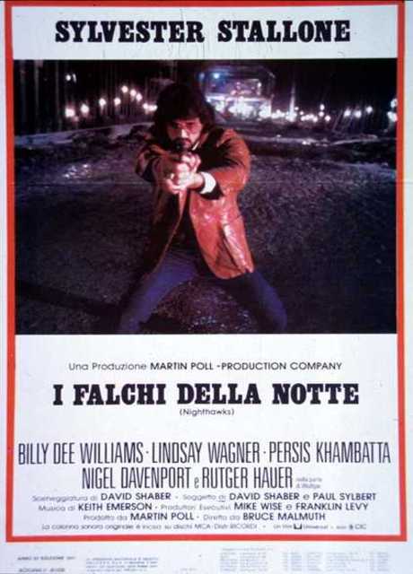 Poster I falchi della notte