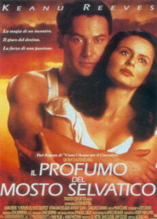 Poster Il profumo del mosto selvatico