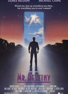 Poster Mr. Destiny