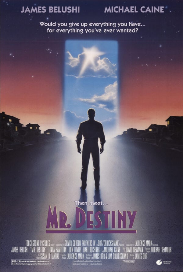 Poster Mr. Destiny