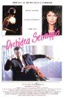 Poster Orchidea selvaggia