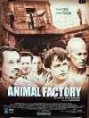 Poster Animal Factory