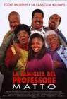 Poster La famiglia del professore matto