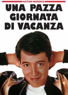 Poster Una pazza giornata di vacanza