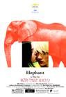 Poster Elephant