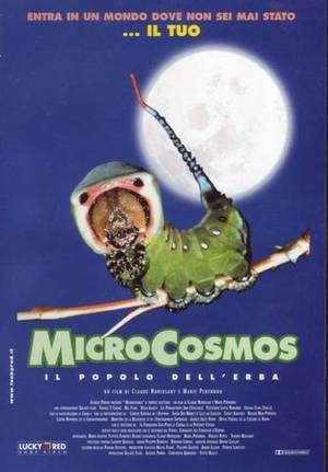 Poster Microcosmos