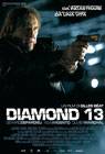 Poster Diamond 13