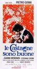 Poster Le castagne sono buone