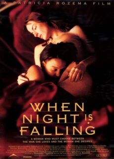 Poster When Night Is Falling