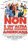 Poster Non è un’altra stupida commedia americana