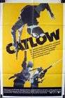 Poster Catlow