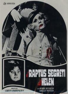 Poster I raptus segreti di Helen