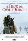 Poster Il Tempo dei Cavalli Ubriachi