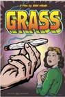 Poster Grass