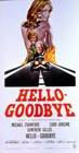 Poster Hello-Goodbye