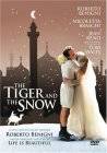 Poster La tigre e la neve