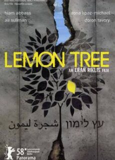 Poster Il giardino di limoni – Lemon Tree