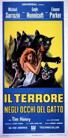 Poster Il terrore negli occhi del gatto