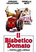 Poster Il bisbetico domato