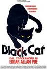 Poster Black Cat (Gatto nero)