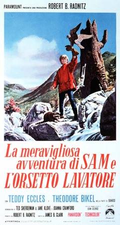 Poster La meravigliosa avventura di Sam e l’orsetto lavatore