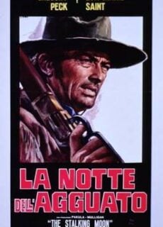 Poster La notte dell’agguato