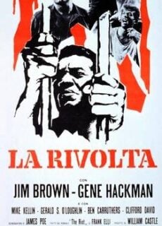 Poster La rivolta