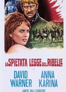 Poster La spietata legge del ribelle