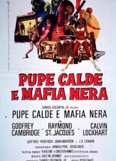 Poster Pupe calde e mafia nera