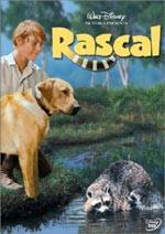 Poster Rascal, l’orsetto lavatore