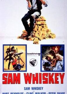 Poster Sam Whiskey