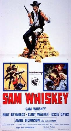 Poster Sam Whiskey