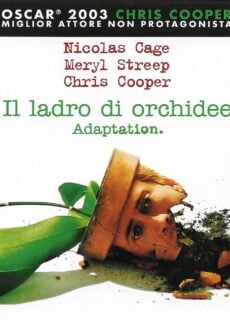 Poster Il ladro di orchidee