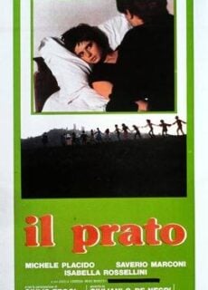 Poster Il prato