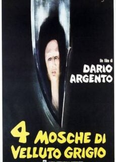 Poster Quattro mosche di velluto grigio