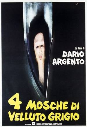 Poster Quattro mosche di velluto grigio