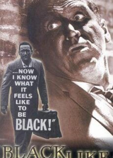 Poster Black Like Me