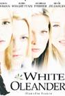 Poster White Oleander