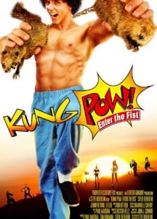 Poster Kung Pow