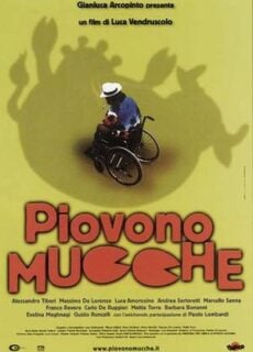 Poster Piovono mucche