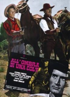 Poster All’ombra di una colt